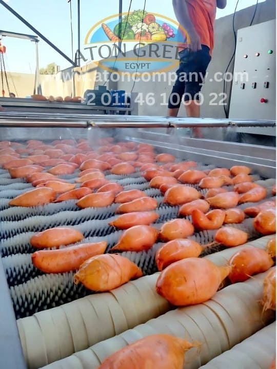 Aton Green Egypt Fresh Fruits & Vegetables